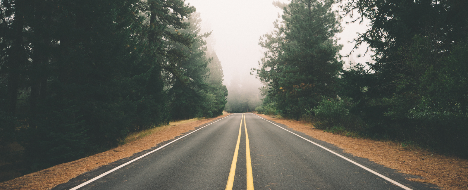 A paved road with trees on either side.